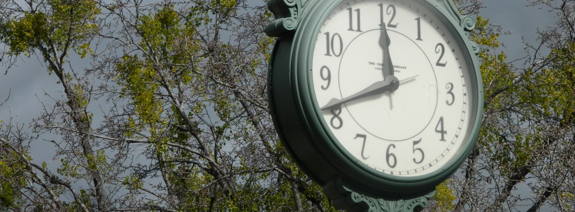 Photo of of the face of an upright clock with trees in the background